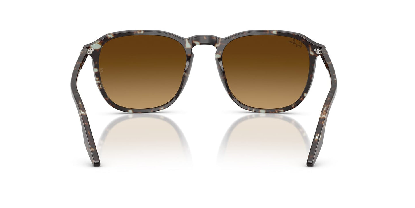 Ray-Ban RB 2203 1431/85