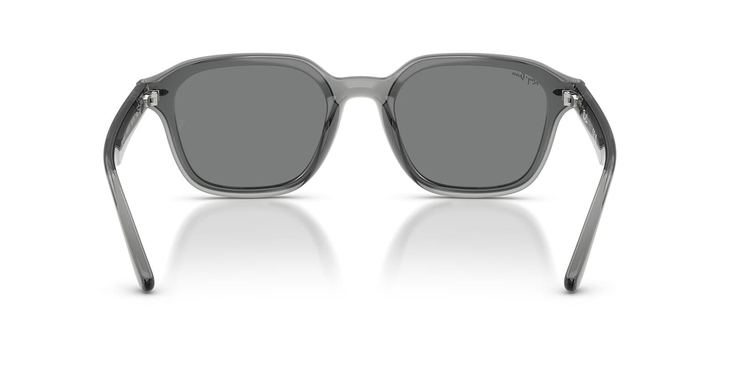 Ray-Ban RB 4458D 6450/87