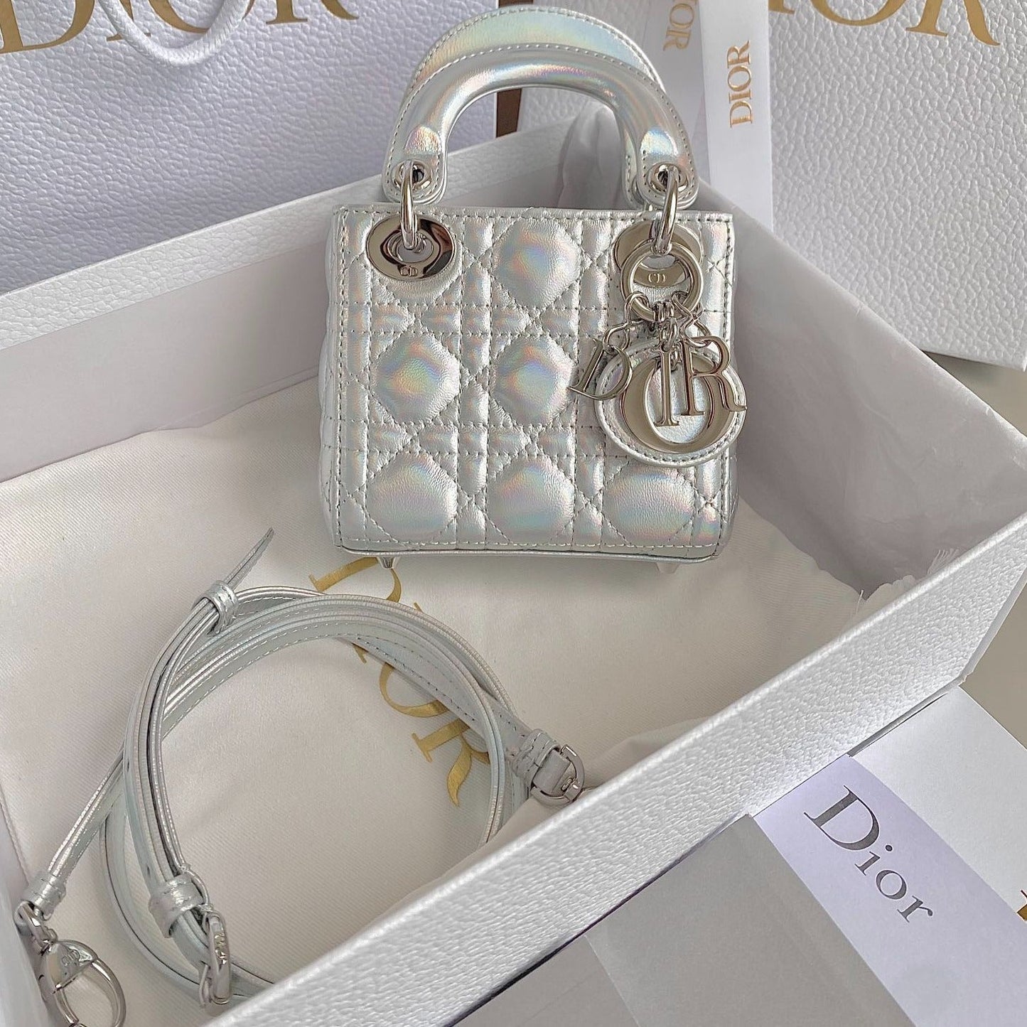 DIOR MICRO LADY 12 BAG IN SILVER LAMBSKIN