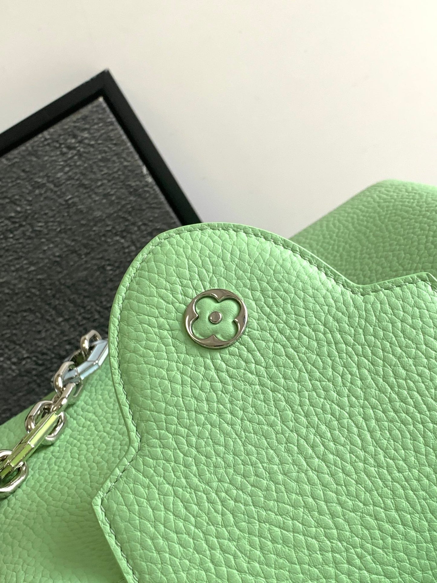LOUIS VUITTON CAPUCINES BB 27 IN LIGHT GREEN TAURILLON SILVER HARDWARE