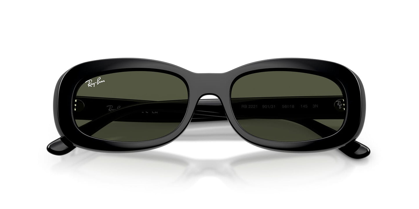 Ray-Ban RB 2221 901/31