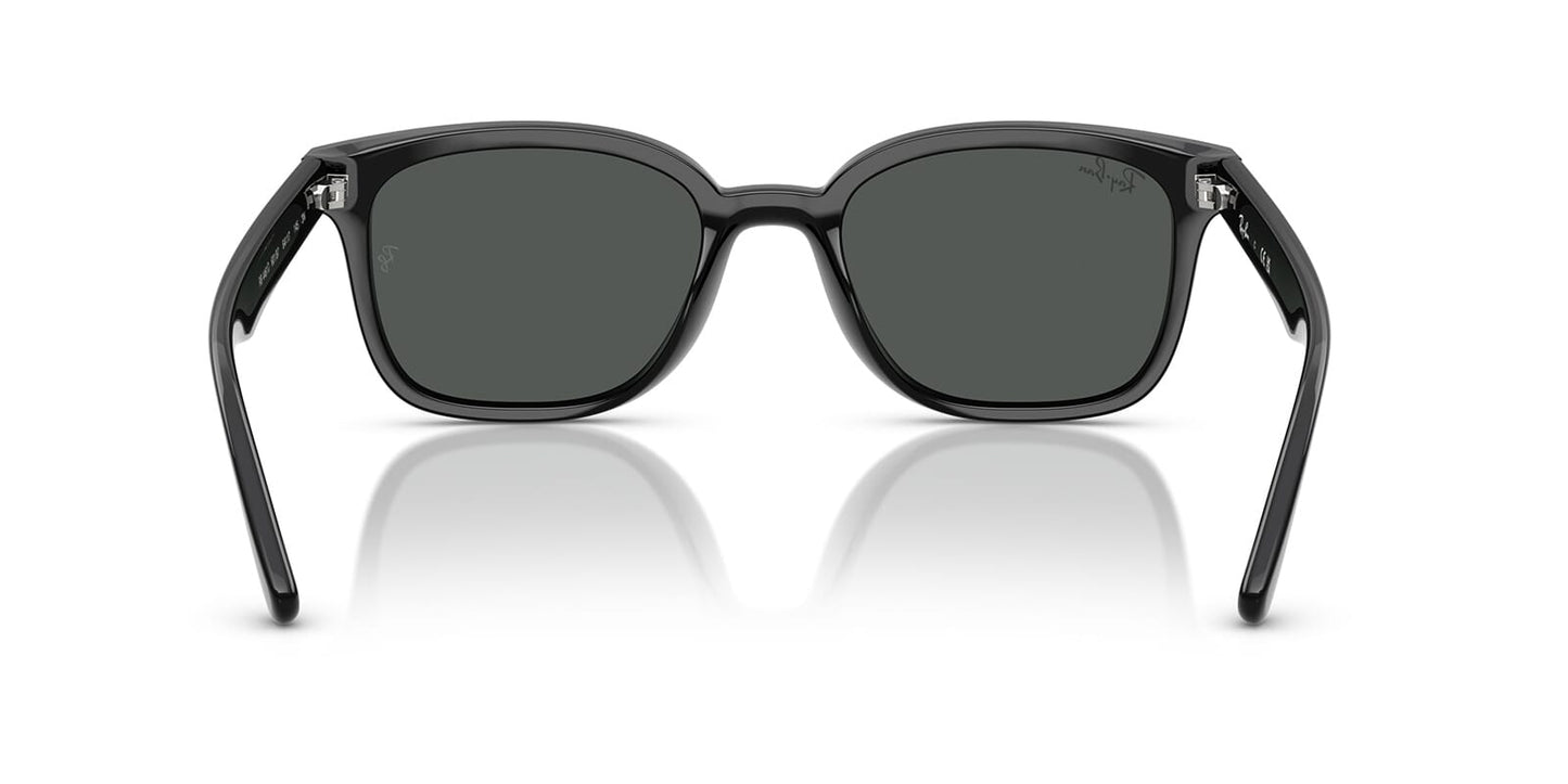 Ray-Ban RB 4461D 601/87