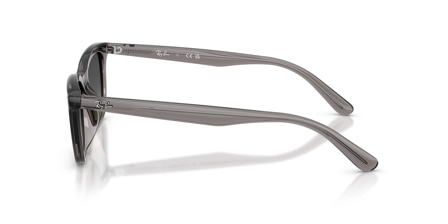 Ray-Ban RB 4474D 6675/11